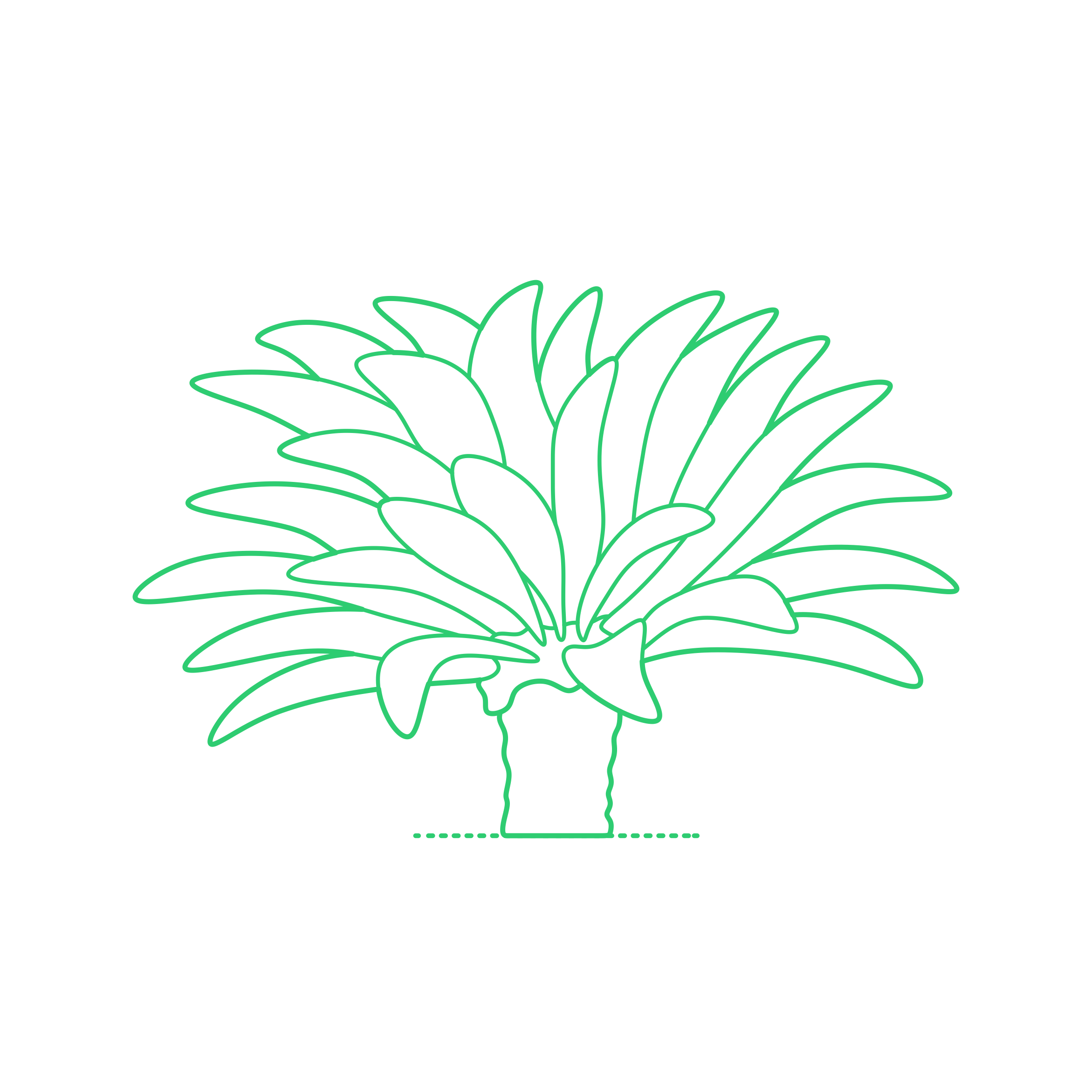 Plants Cycads Stencil Svg Vector Free Vectors